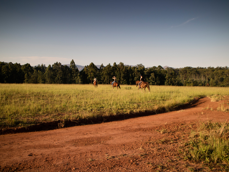 Swaziland sunset 0003 Horseriding in Mlilwane Wildlife Sanctuary